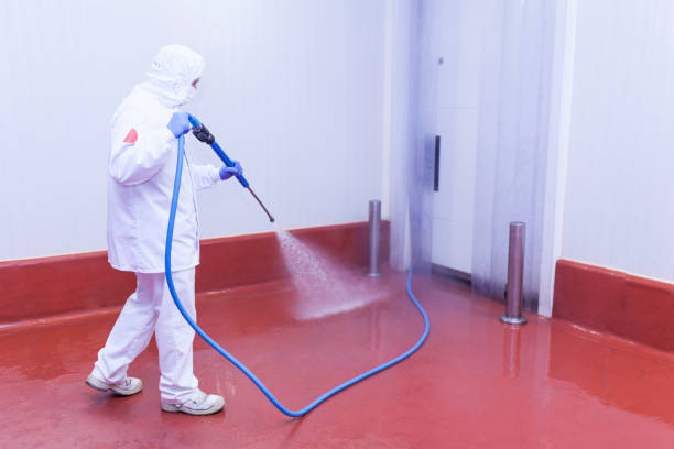 Best Concrete Sealing  in Ridgely, TN