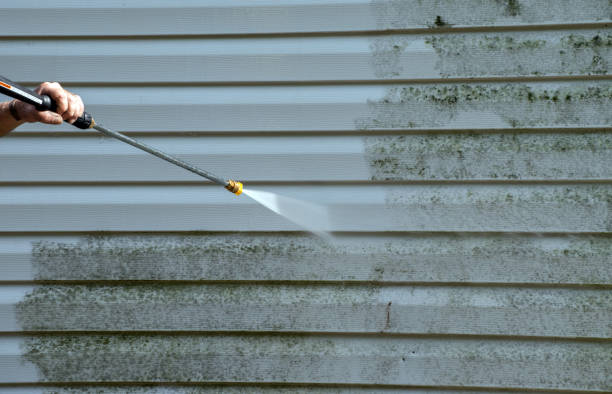 Best Rust Removal  in Ridgely, TN
