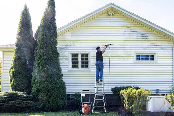 Best Patio and Deck Pressure Washing  in Ridgely, TN